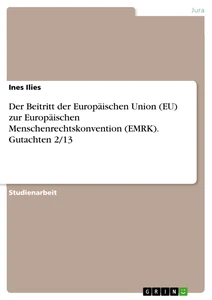 Titel: Der Beitritt der Europäischen Union (EU) zur Europäischen Menschenrechtskonvention (EMRK). Gutachten 2/13