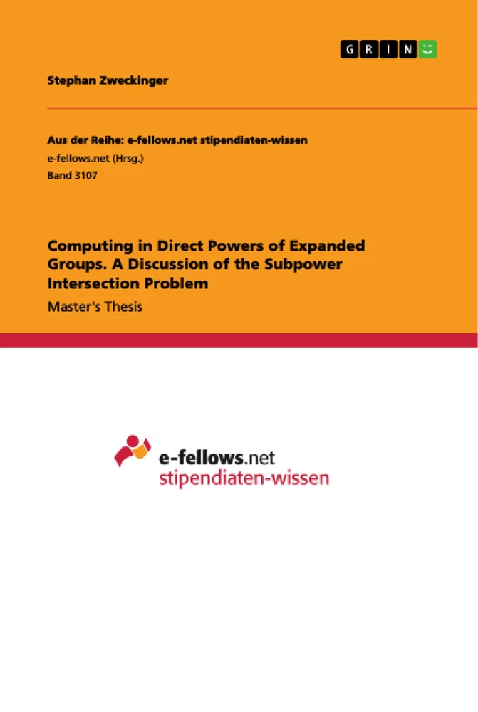 Titel: Computing in Direct Powers of Expanded Groups. A Discussion of the Subpower Intersection Problem