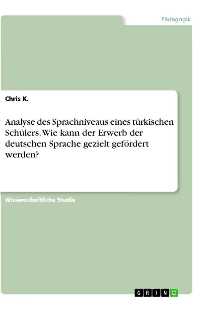 Titel: Analyse des Sprachniveaus eines türkischen Schülers. Wie kann der Erwerb der deutschen Sprache gezielt gefördert werden?