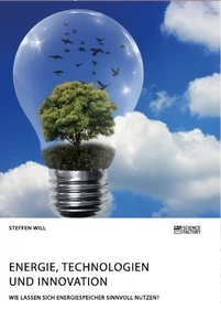 Titel: Energie, Technologien und Innovation. Wie lassen sich Energiespeicher sinnvoll nutzen?