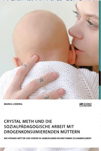 Titel: Crystal Meth und die sozialpädagogische Arbeit mit drogenkonsumierenden Müttern. Wie können Mütter und Kinder in gemeinsamen Wohnformen zusammenleben?
