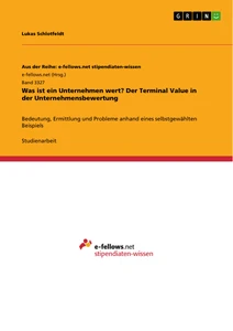 Titel: Was ist ein Unternehmen wert? Der Terminal Value in der Unternehmensbewertung