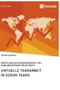 Title: Virtuelle Teamarbeit in Scrum-Teams. Beurteilung aus Unternehmenssicht und Handlungsoptionen für die Praxis