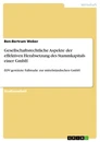 Titel: Gesellschaftsrechtliche Aspekte der effektiven Herabsetzung des Stammkapitals einer GmbH