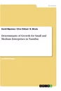 Title: Determinants of Growth for Small and Medium Enterprises in Namibia