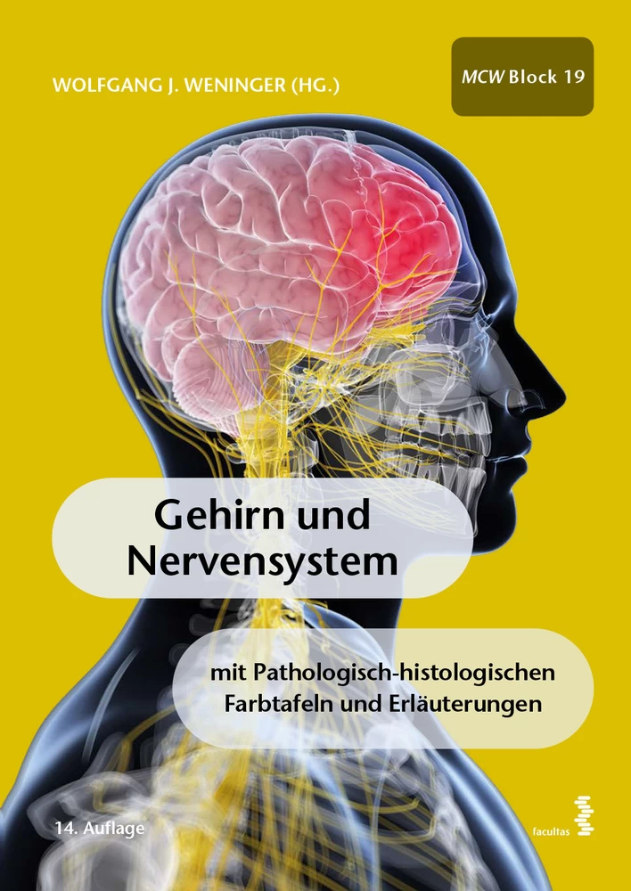 Titel: Gehirn und Nervensystem