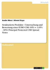 Titel: Strukturierte Produkte - Untersuchung und Bewertung einer EURO CMS 10Yr + 1,65% - 30Yr Principal Protected CMS Spread Notes