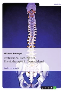 Titel: Professionalisierung der Physiotherapie in Deutschland