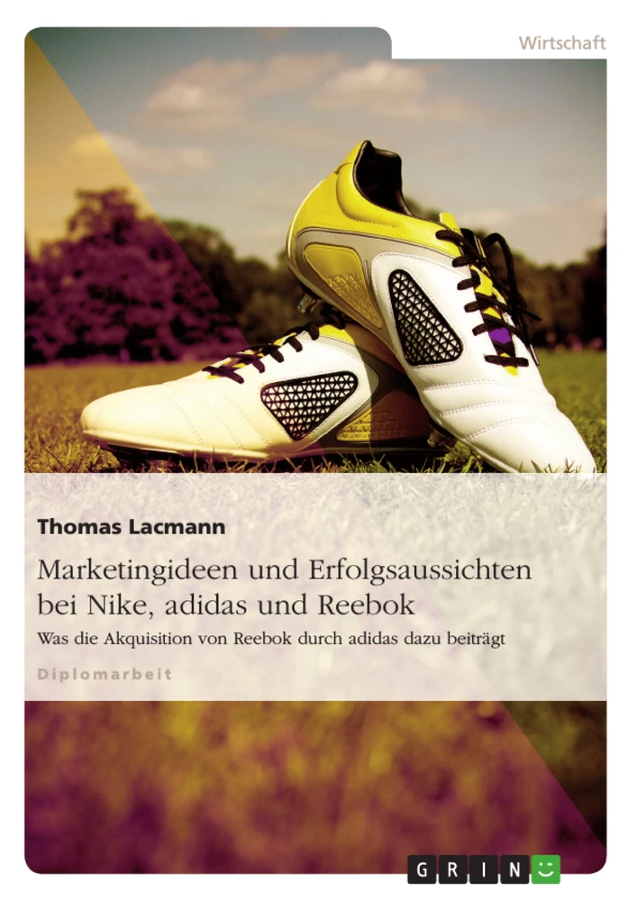 Title: Marketingideen und Erfolgsaussichten bei Nike, adidas und Reebok