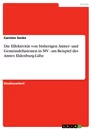 Titel: Die Effektivität von bisherigen Ämter- und Gemeindefusionen in MV - am Beispiel des Amtes Eldenburg-Lübz