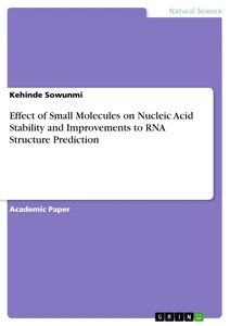 Titel: Effect of Small Molecules on Nucleic Acid Stability and Improvements to RNA Structure Prediction