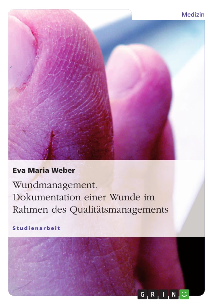 Titre: Wundmanagement. Dokumentation einer Wunde im Rahmen des Qualitätsmanagements.