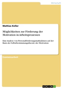 Titel: Möglichkeiten zur Förderung der Motivation in Arbeitsprozessen