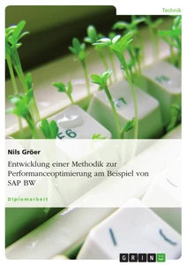 Titel: Entwicklung einer Methodik zur Performanceoptimierung am Beispiel von SAP BW
