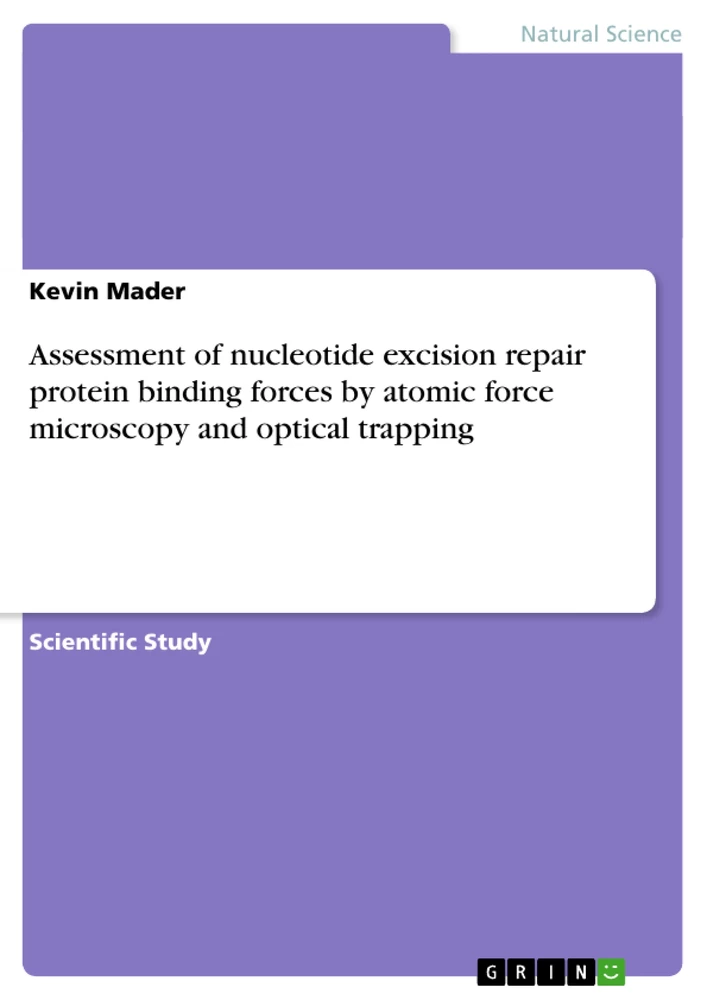 Titel: Assessment of nucleotide excision repair protein binding forces by atomic force microscopy and optical trapping