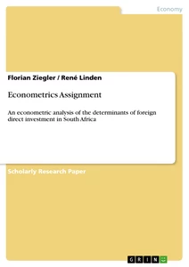 Titel: Econometrics Assignment