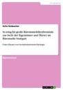 Titel: Scoring für große Büroimmobilienbestände aus Sicht der Eigentümer und Mieter im Büromarkt Stuttgart