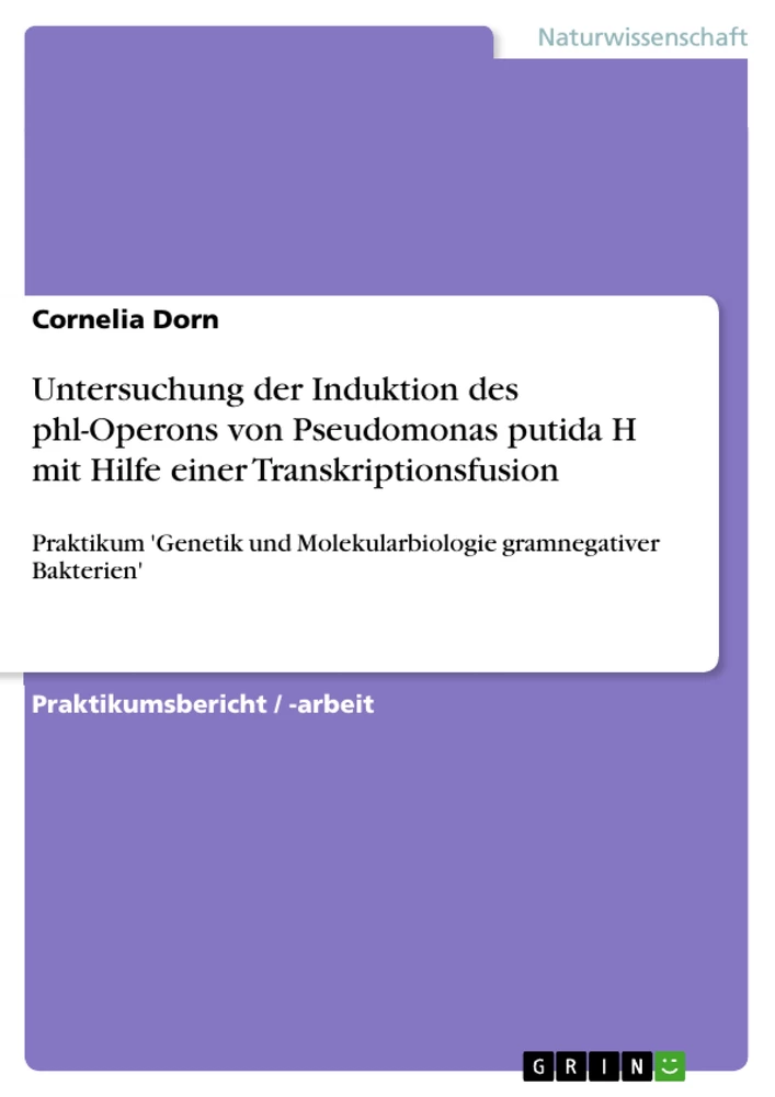 Title: Untersuchung der Induktion des phl-Operons von Pseudomonas putida H mit Hilfe einer Transkriptionsfusion
