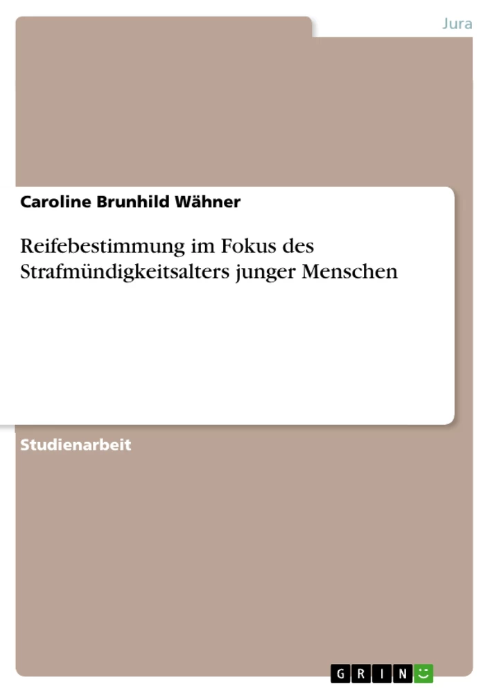 Titel: Reifebestimmung im Fokus des Strafmündigkeitsalters junger Menschen