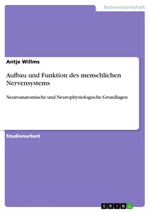 Titre: Aufbau und Funktion des menschlichen Nervensystems
