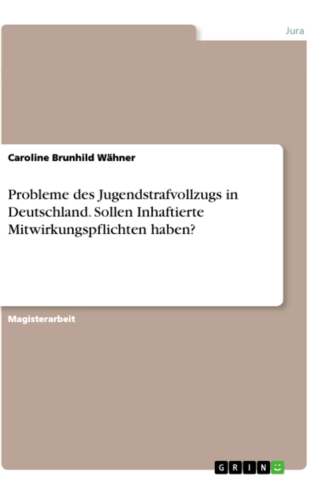 Titel: Probleme des Jugendstrafvollzugs in Deutschland. Sollen Inhaftierte Mitwirkungspflichten haben?