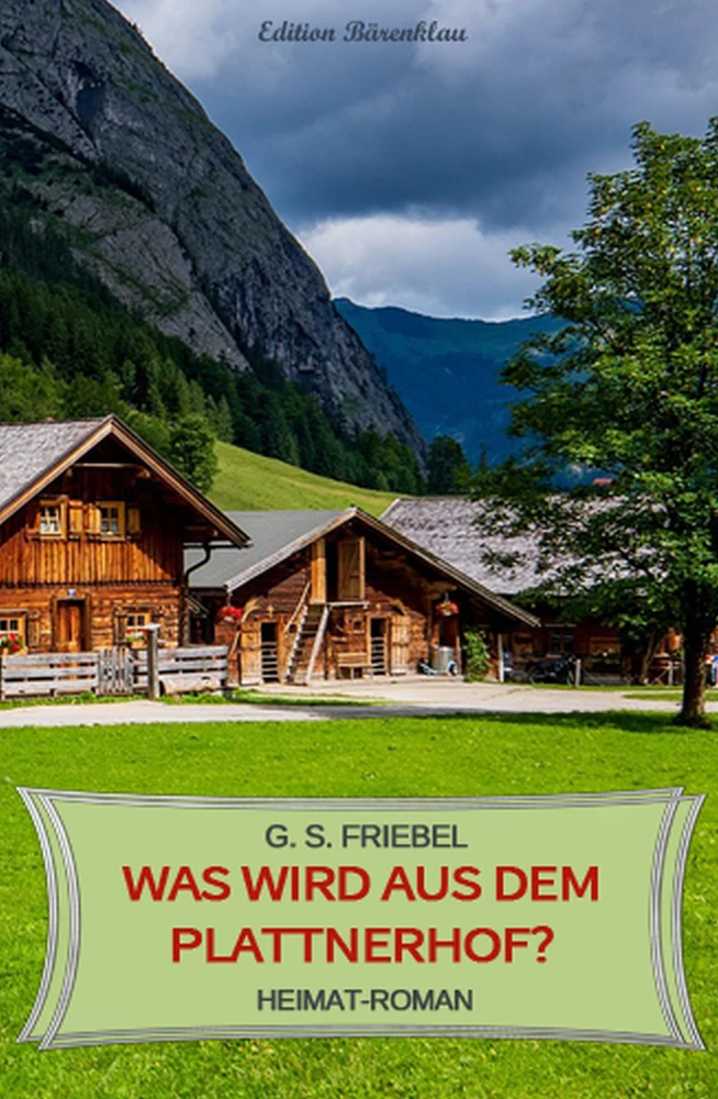 Titel: Was wird aus dem Plattnerhof?