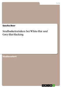 Title: Strafbarkeitsrisiken bei White-Hat und Grey-Hat-Hacking