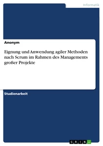 Title: Eignung und Anwendung agiler Methoden nach Scrum im Rahmen des Managements großer Projekte