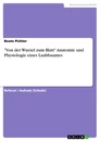 Titel: "Von der Wurzel zum Blatt" Anatomie und Physiologie eines Laubbaumes