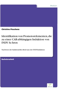 Titel: Identifikation von Promotorelementen, die zu einer CAR-abhängigen Induktion von INDY führen