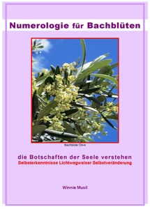 Titel: Numerologie für Bachblüten